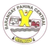 pahinacentralcebu.com